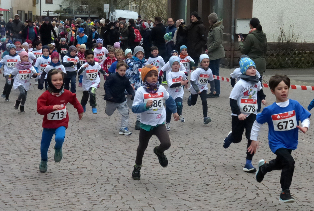17. Calwer Hermann-Hesse-Lauf am 17. März 2018
