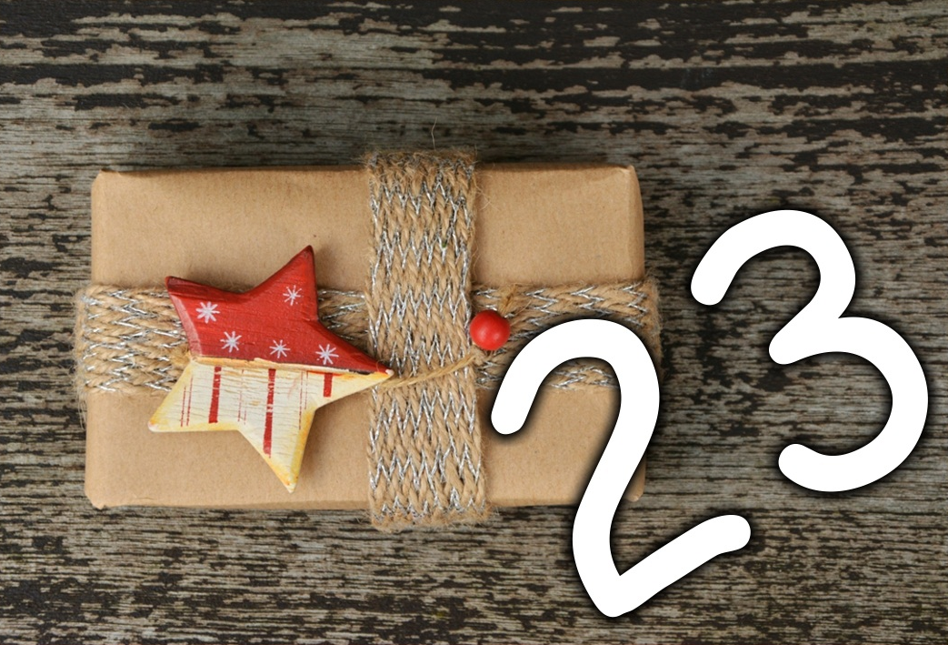 WLV Adventskalender Tag 23: ERIMA Firmenlauf Reutlingen