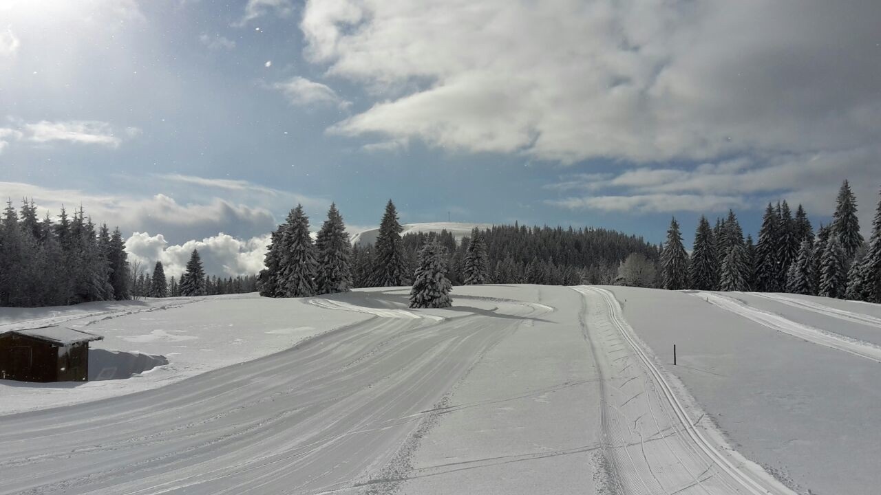 Nachwuchsläufer im Schnee - Kaderlehrgang am Herzogenhorn