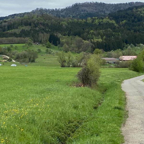 Firmenlauf Balingen mit Strecke!