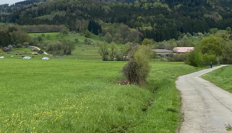 Firmenlauf Balingen mit Strecke!