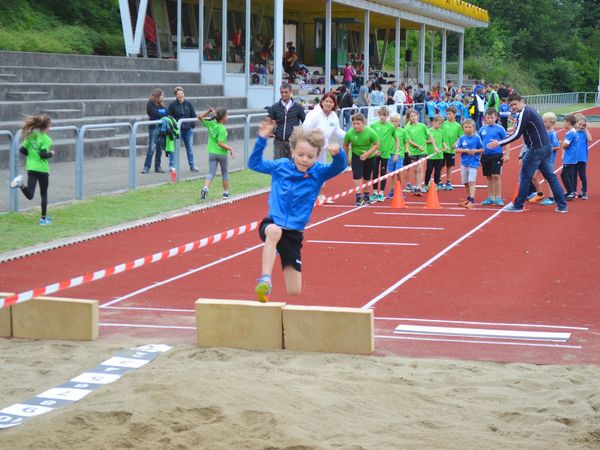 Wählen Sie aus den nachstehenden Bereichen die für Sie passende Fortbildung: 