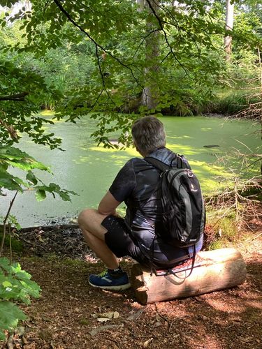 WLV-Fortbildung: Bewegung und Entspannung im Wald