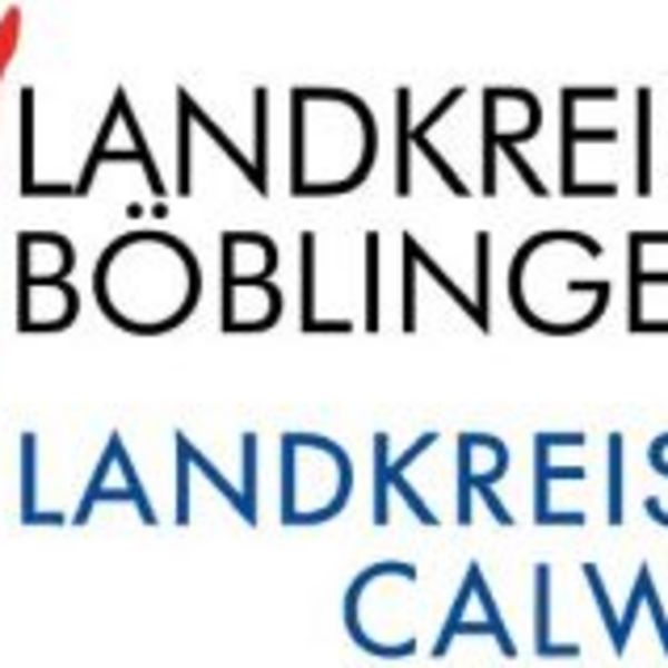 Einladung zum Fortbildungslehrgang in Calw  26-5 Fobi Core Stability