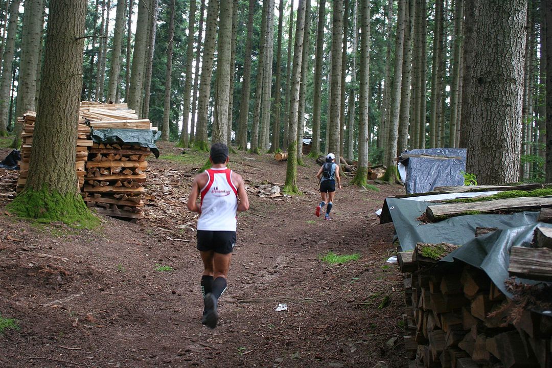 Trailrunner aus ganz Baden-Württemberg treffen sich am 3. Oktober in Zell am Harmersbach