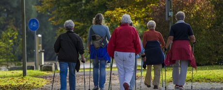 Ausbildung zum Nordic Walking Instruktor - Jetzt anmelden!