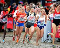 Cross-Europameisterschaften am 9. Dezember 2018 in Tilburg