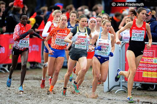 Cross-Europameisterschaften am 9. Dezember 2018 in Tilburg