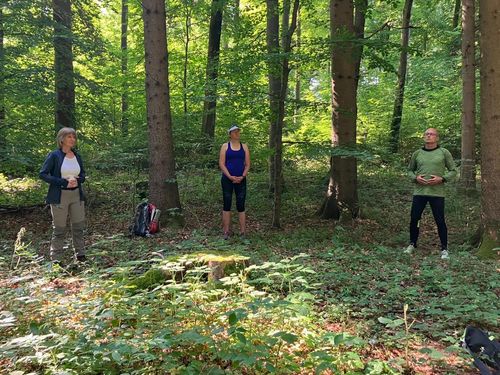 WLV-Fortbildung: Bewegung und Entspannung im Wald