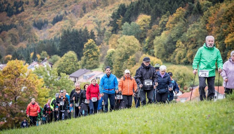 Ausbildung zum Nordic Walking Instructor