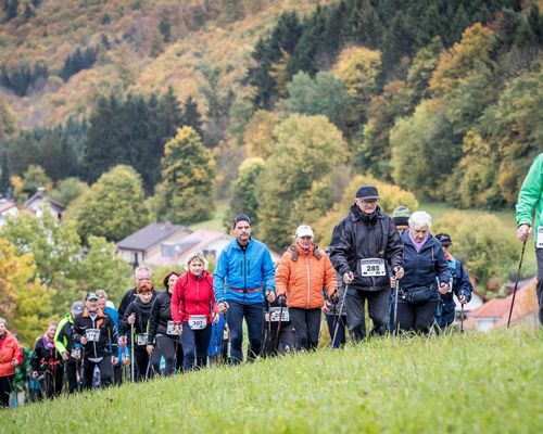 Nordic Walking im Fokus