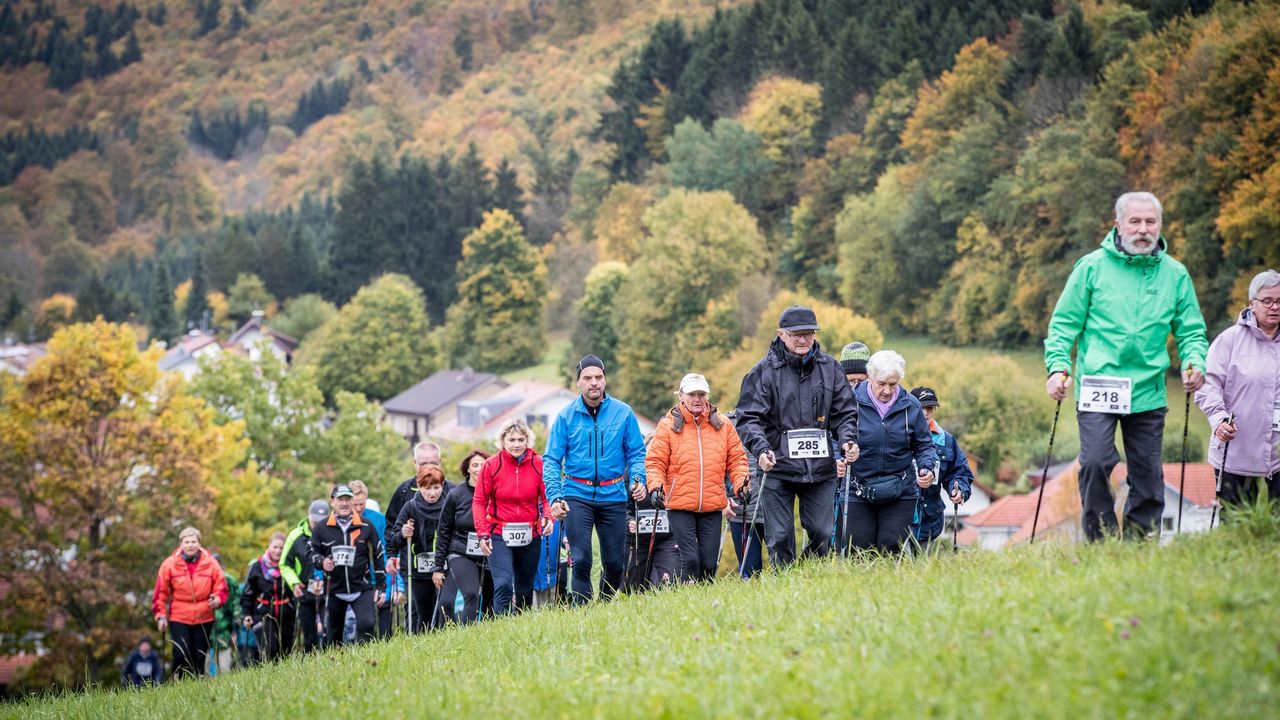 Nordic Walking im Fokus