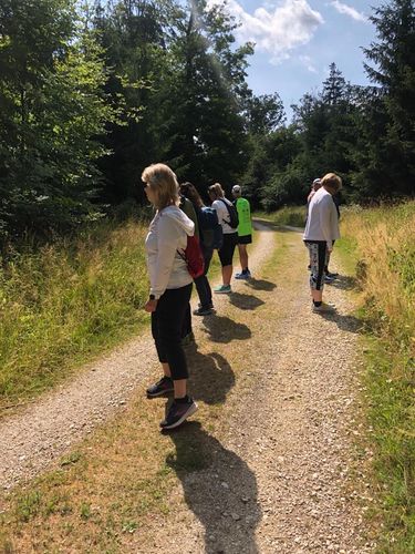 WLV-Fortbildung: Bewegung und Entspannung im Wald