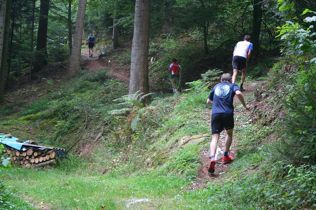 Trailrunner aus ganz Baden-Württemberg treffen sich am 3. Oktober in Zell am Harmersbach