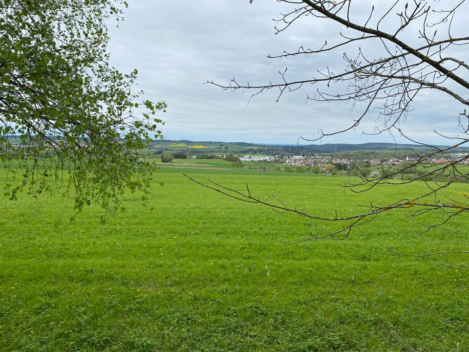 Streckenbegehung in Balingen