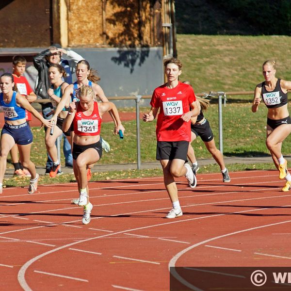 Nachwuchs-Team-Titel in Bietigheim-Bissingen vergeben