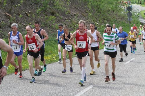 Vorschau auf die DM Berglauf in Bühlertal