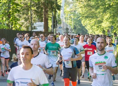 Wald.Sport.Bewegt - Auf in den Lebensraum Wald!