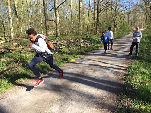 #bwlathome - Vereine und Athleten machen mit