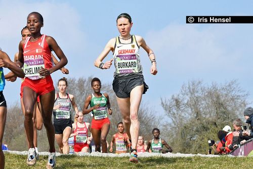 Cross-Weltmeisterschaften am 30. März 2019 in Aarhus / DEN