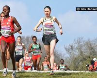 Cross-Weltmeisterschaften am 30. März 2019 in Aarhus / DEN