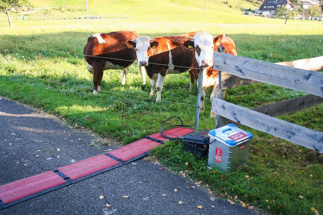 Impressionen der BW Trailrun in Zell am Harmersbach