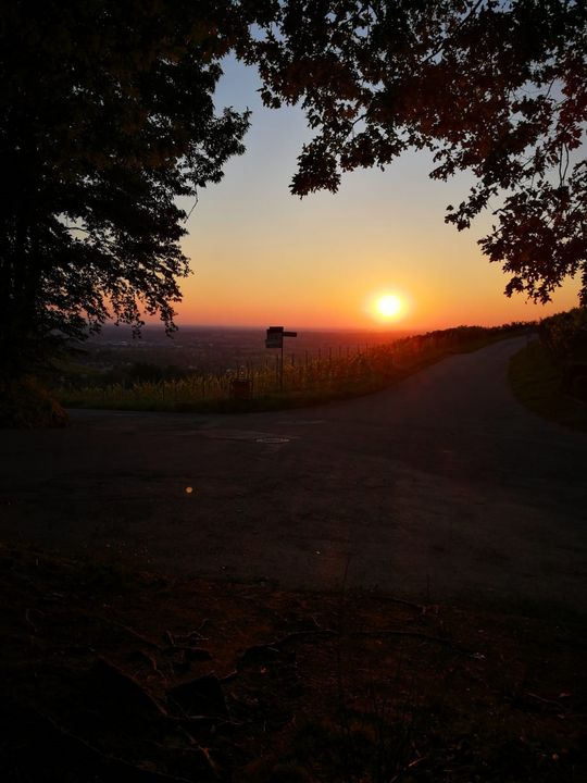 U16 Schülercamp: Sport, Spaß und Sonnenuntergang