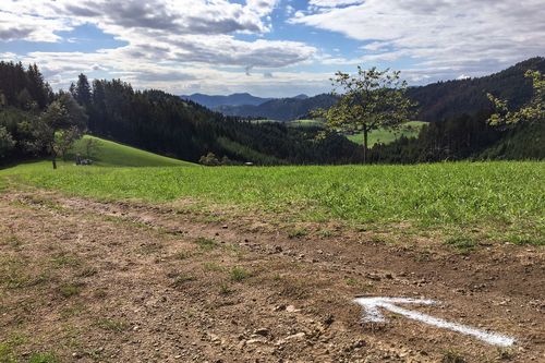 Trailrunner aus ganz Baden-Württemberg treffen sich am 3. Oktober in Zell am Harmersbach