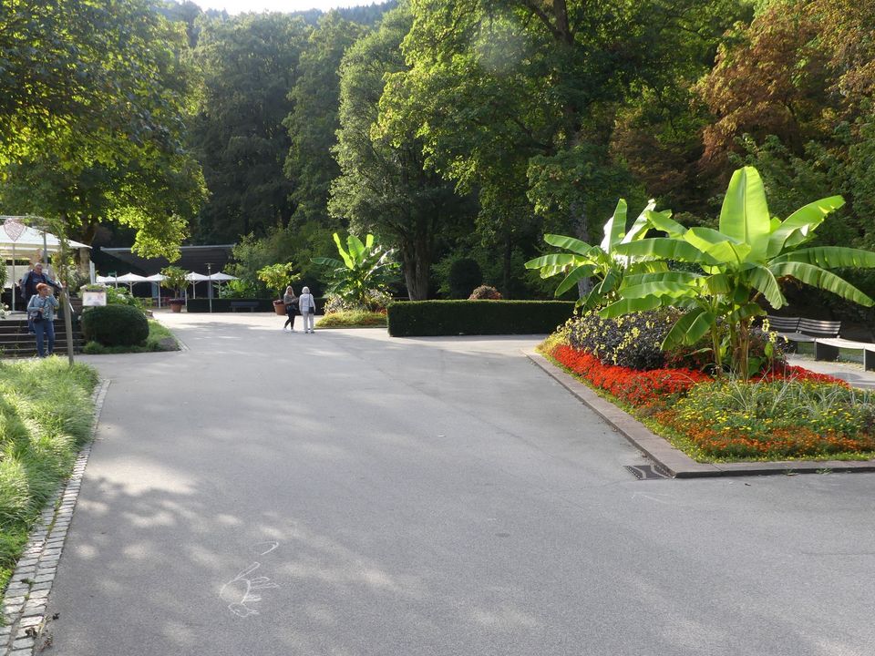 BW Straße 10 Kilometer: Jens Mergenthaler möchte in Bad Wildbad seinen Titel verteidigen