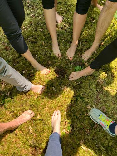 WLV-Fortbildung: Bewegung und Entspannung im Wald